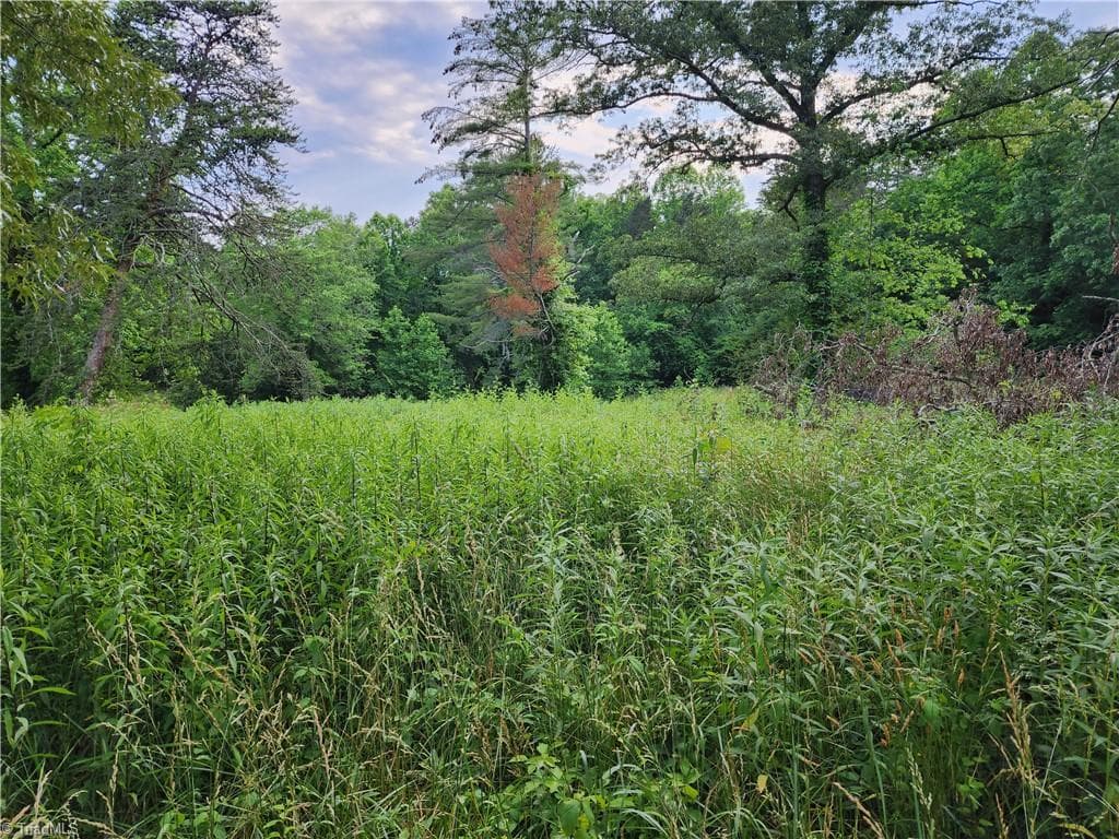 Unimproved Land at 000 W US Highway 421, Wilkesboro NC 28697, photo 10 of 21
