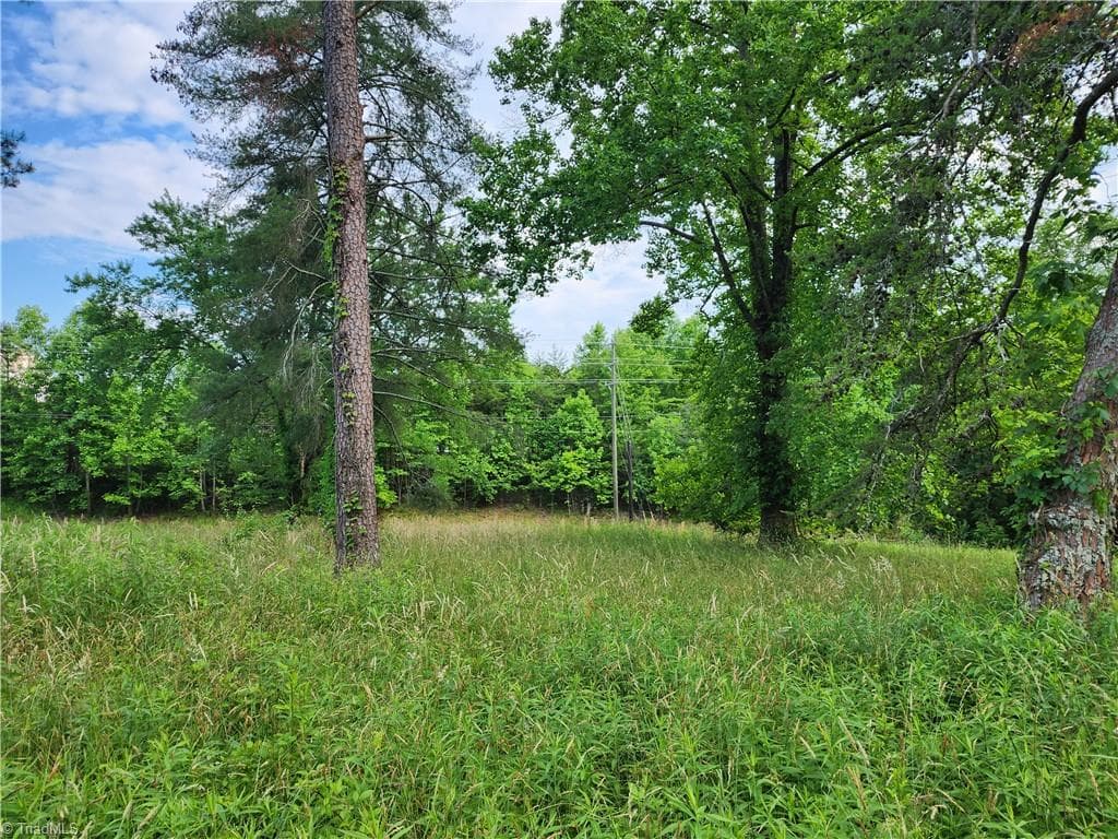 Unimproved Land at 000 W US Highway 421, Wilkesboro NC 28697, photo 14 of 21