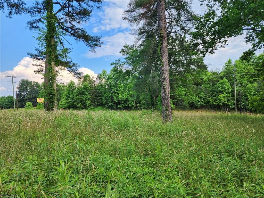 Unimproved Land at 000 W US Highway 421, Wilkesboro NC 28697, photo 15 of 21
