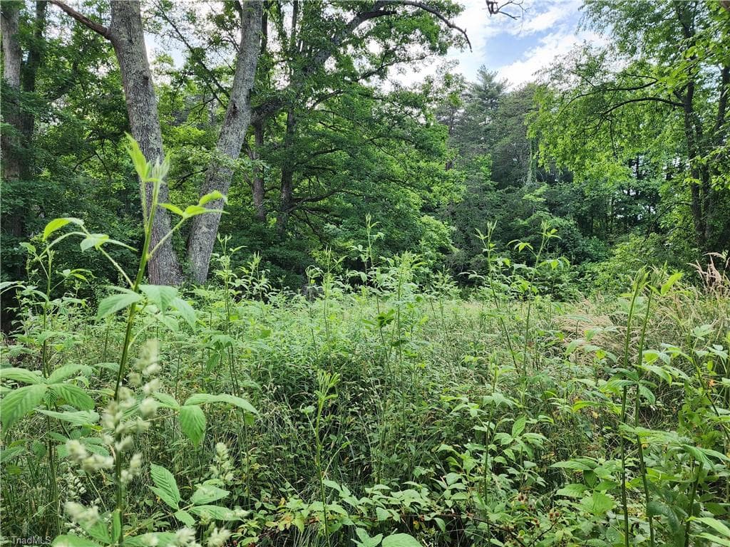 Unimproved Land at 000 W US Highway 421, Wilkesboro NC 28697, photo 11 of 21
