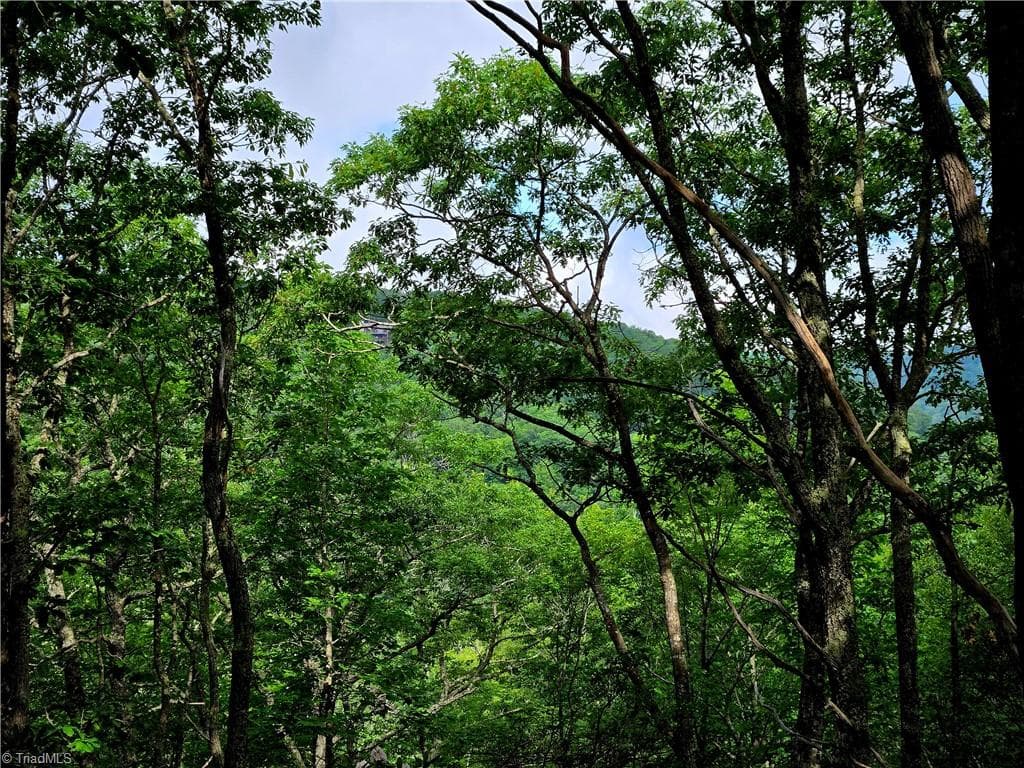 Unimproved Land at TBD Red Fox Trail, Boone NC 28607, photo 2 of 21
