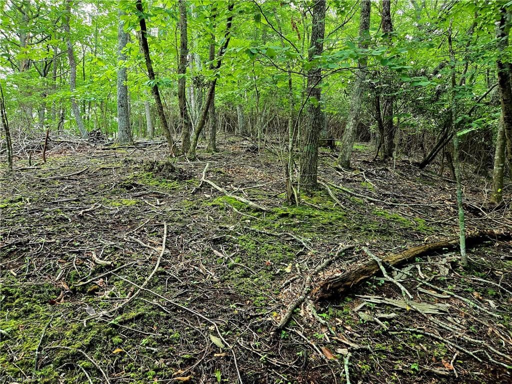 Unimproved Land at TBD Red Fox Trail, Boone NC 28607, photo 6 of 21