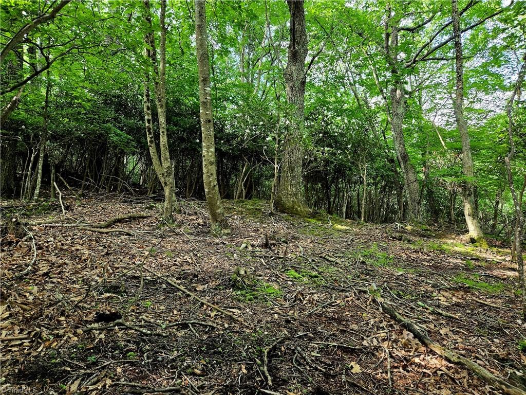 Unimproved Land at TBD Red Fox Trail, Boone NC 28607, photo 13 of 21