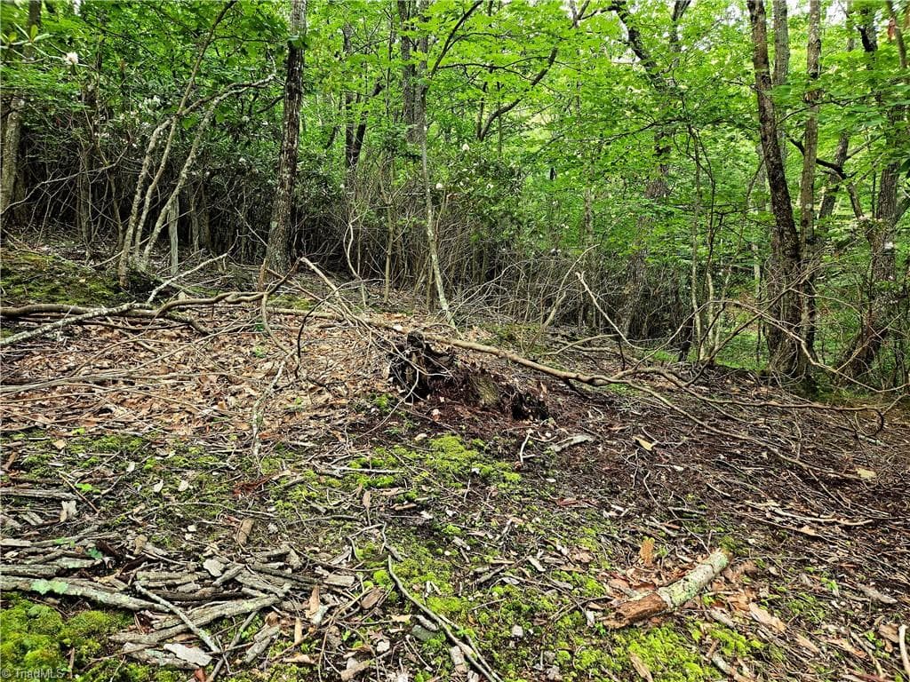 Unimproved Land at TBD Red Fox Trail, Boone NC 28607, photo 16 of 21