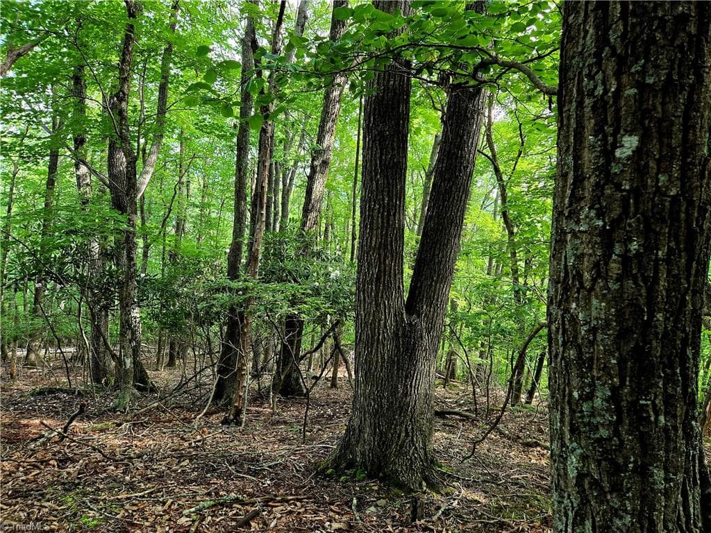 Unimproved Land at TBD Red Fox Trail, Boone NC 28607, photo 12 of 21