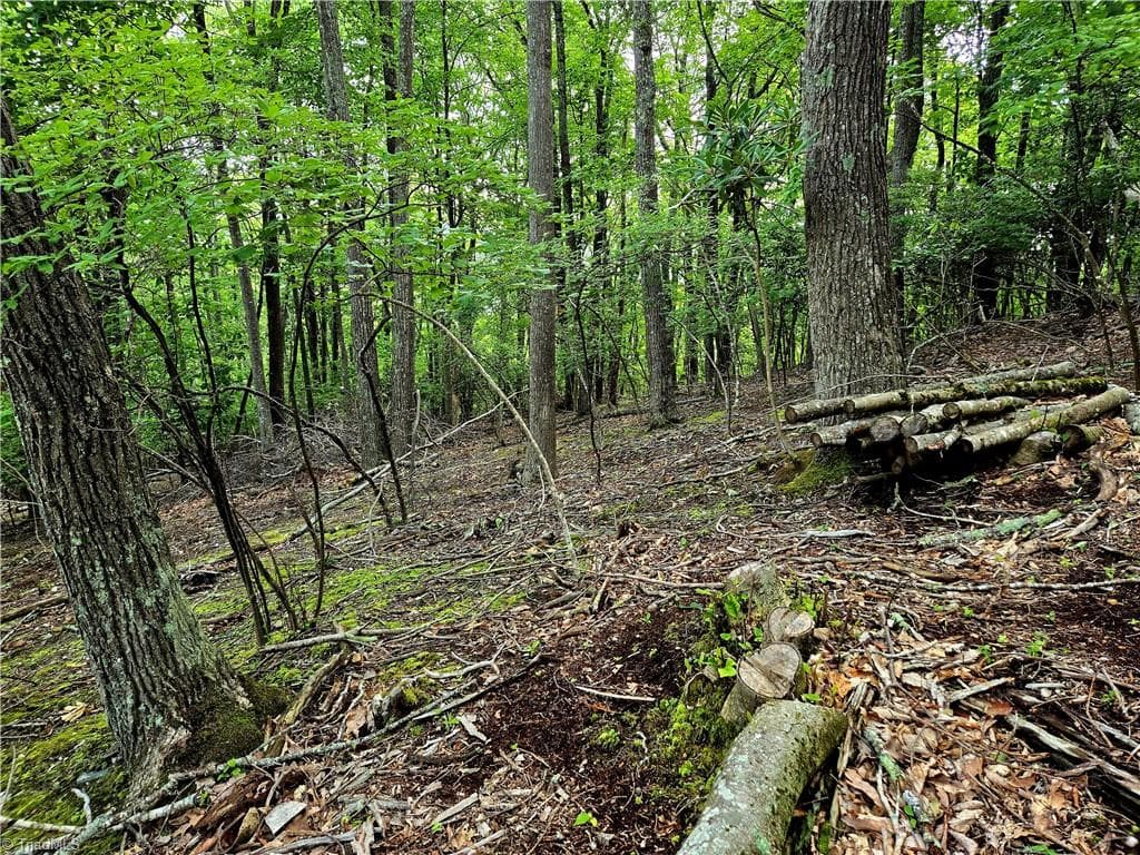 Unimproved Land at TBD Red Fox Trail, Boone NC 28607, photo 7 of 21