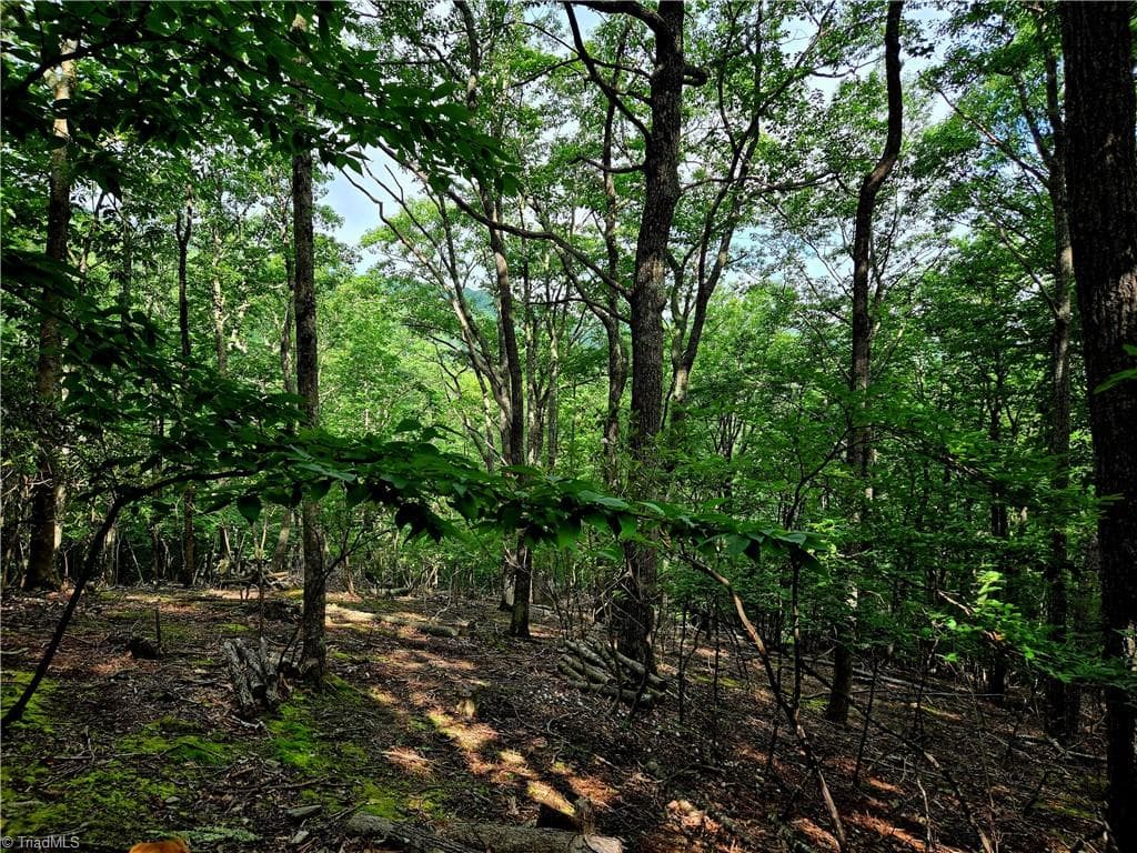 Unimproved Land at TBD Red Fox Trail, Boone NC 28607, photo 3 of 21