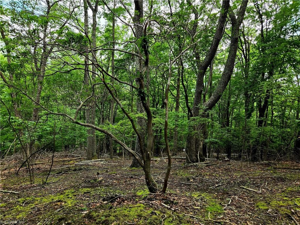 TBD Red Fox Trail, Boone NC 28607