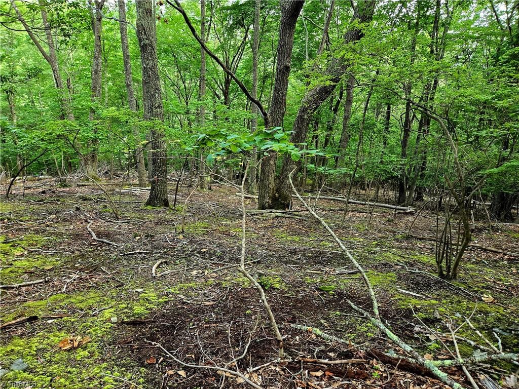 Unimproved Land at TBD Red Fox Trail, Boone NC 28607, photo 9 of 21