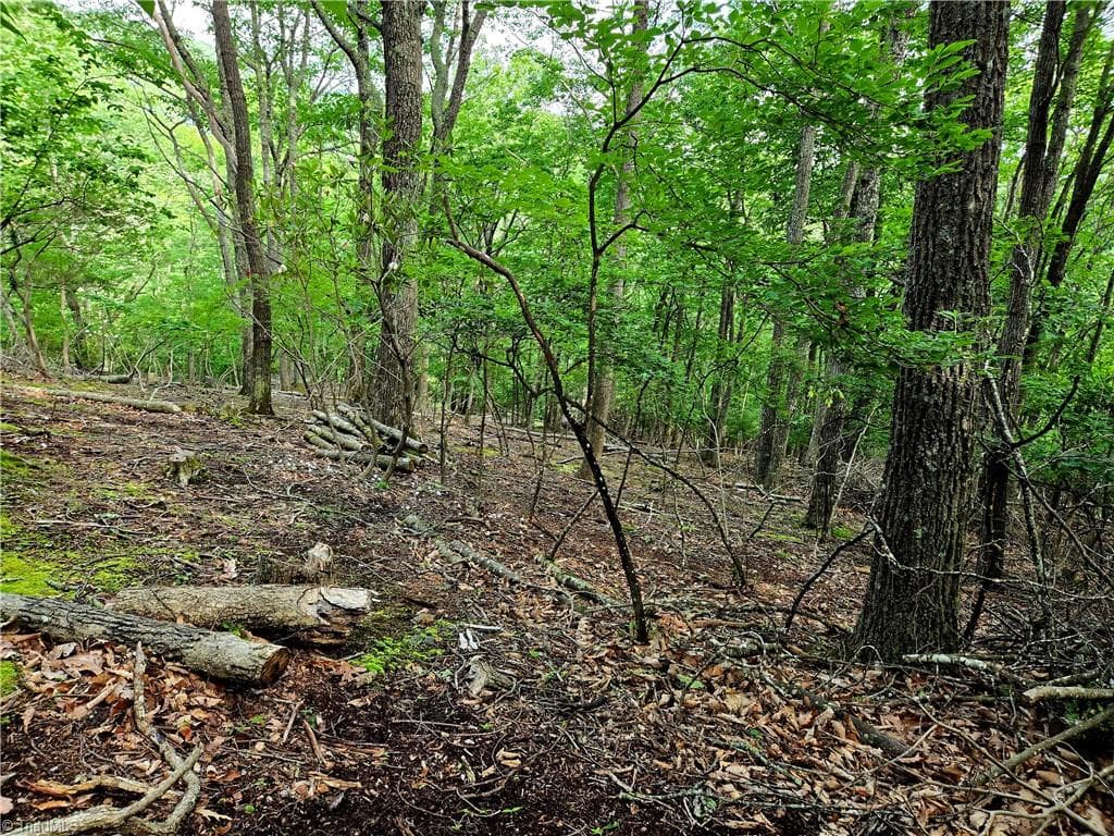 Unimproved Land at TBD Red Fox Trail, Boone NC 28607, photo 10 of 21