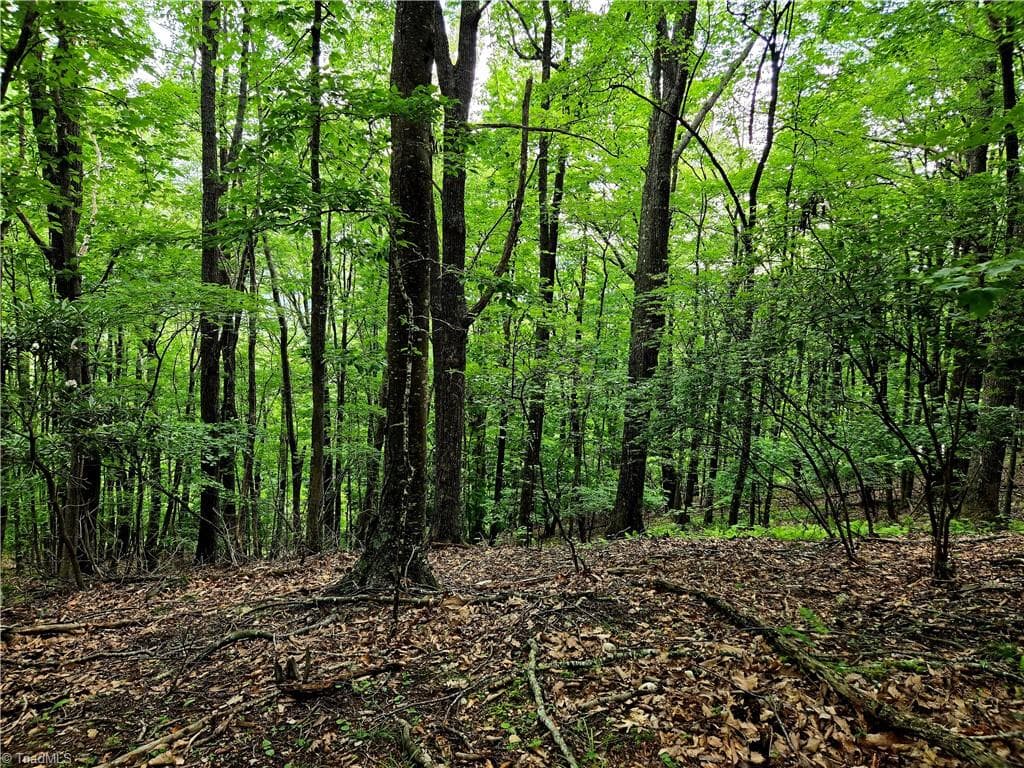 Unimproved Land at TBD Red Fox Trail, Boone NC 28607, photo 14 of 21