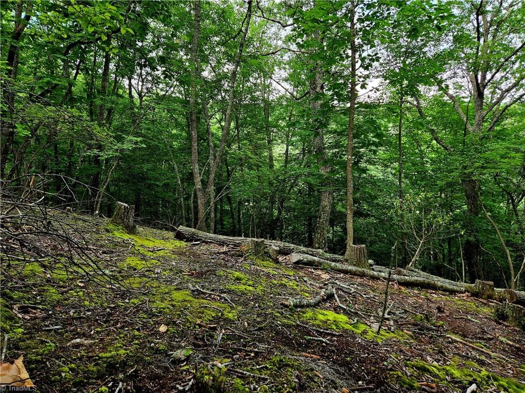 Unimproved Land at TBD Red Fox Trail, Boone NC 28607, photo 18 of 21