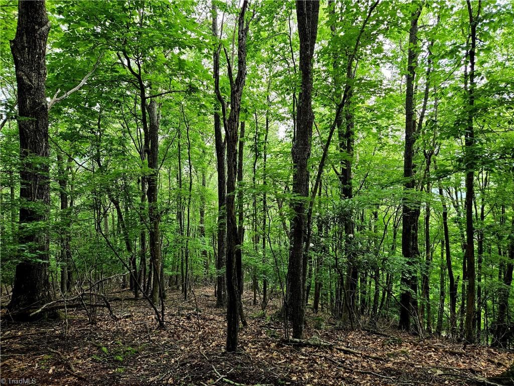 Unimproved Land at TBD Red Fox Trail, Boone NC 28607, photo 15 of 21