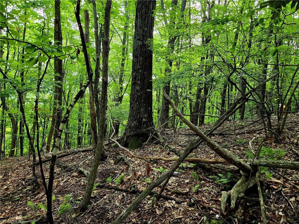 Unimproved Land at TBD Red Fox Trail, Boone NC 28607, photo 11 of 21
