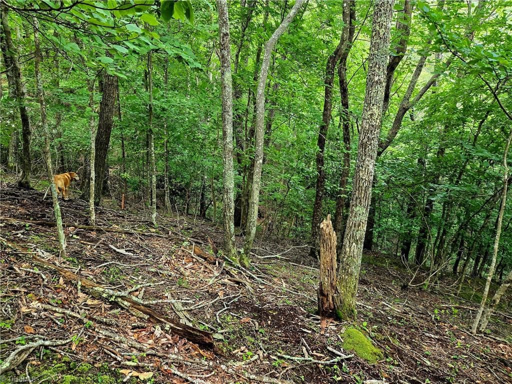 Unimproved Land at TBD Red Fox Trail, Boone NC 28607, photo 19 of 21