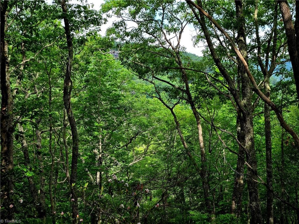 Unimproved Land at TBD Red Fox Trail, Boone NC 28607, photo 4 of 21