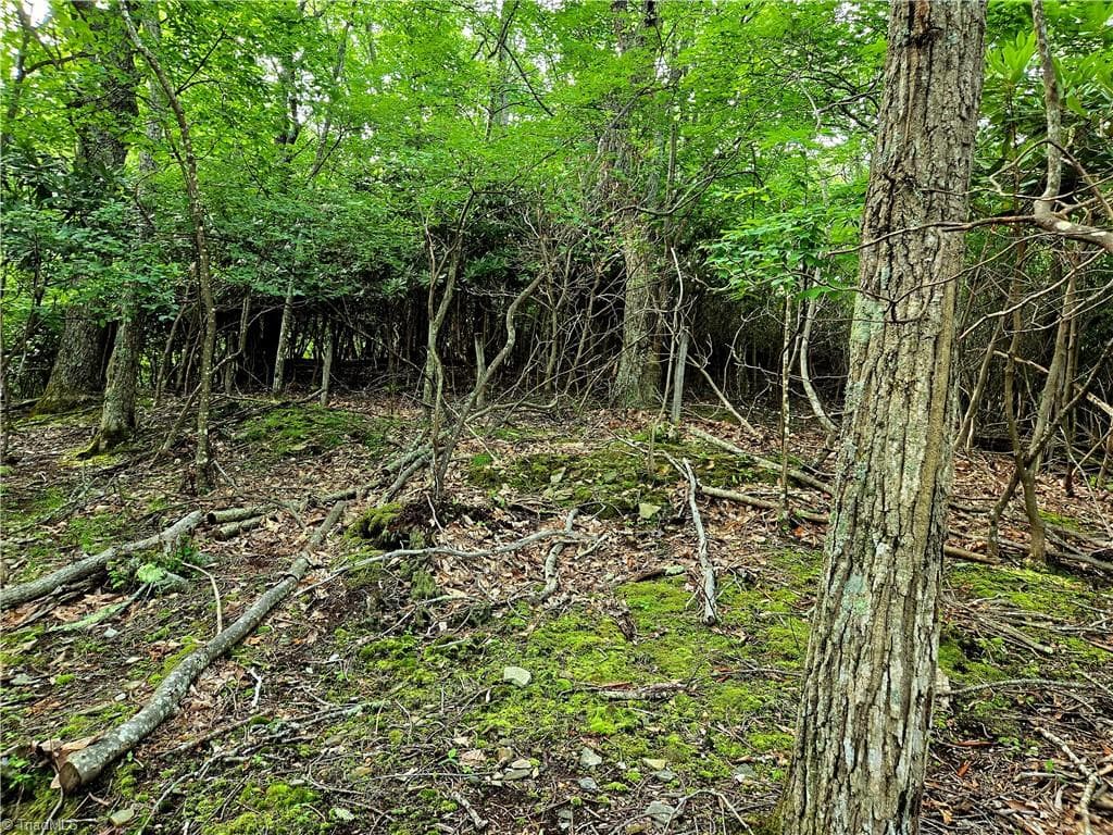 Unimproved Land at TBD Red Fox Trail, Boone NC 28607, photo 8 of 21