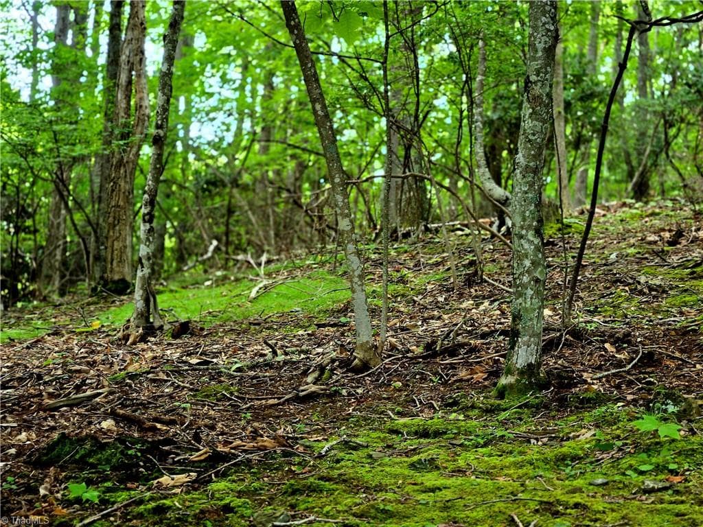 Unimproved Land at TBD Red Fox Trail, Boone NC 28607, photo 21 of 21