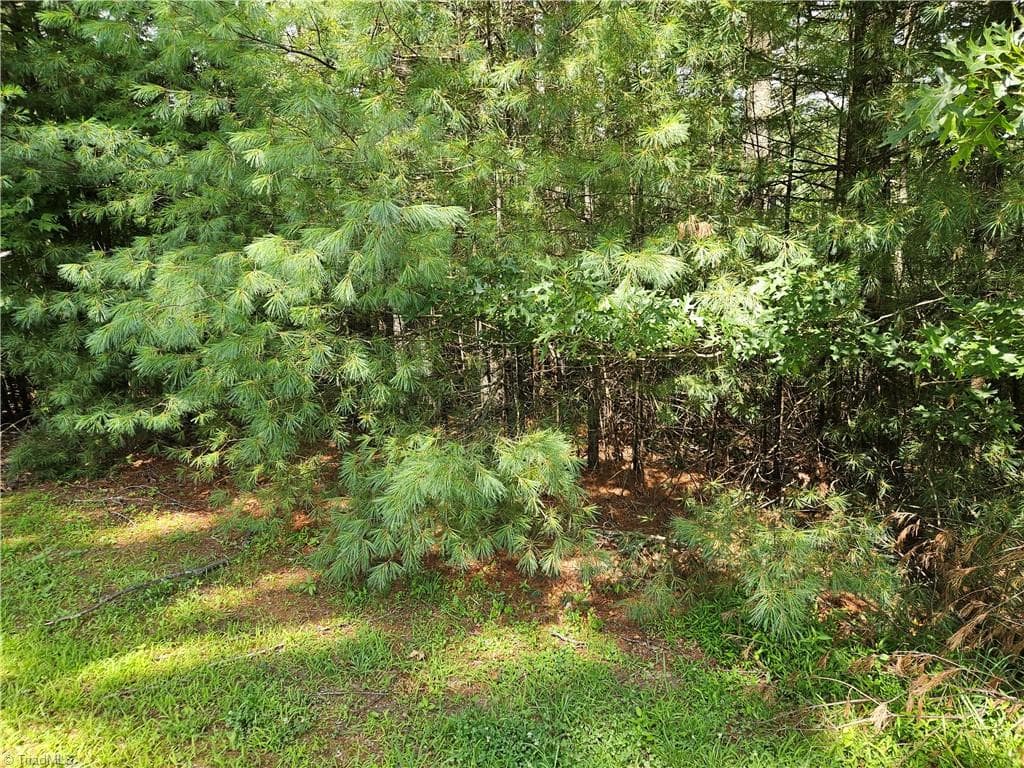 Unimproved Land at TBD Holly Run, Glade Valley NC 28627, photo 2 of 12
