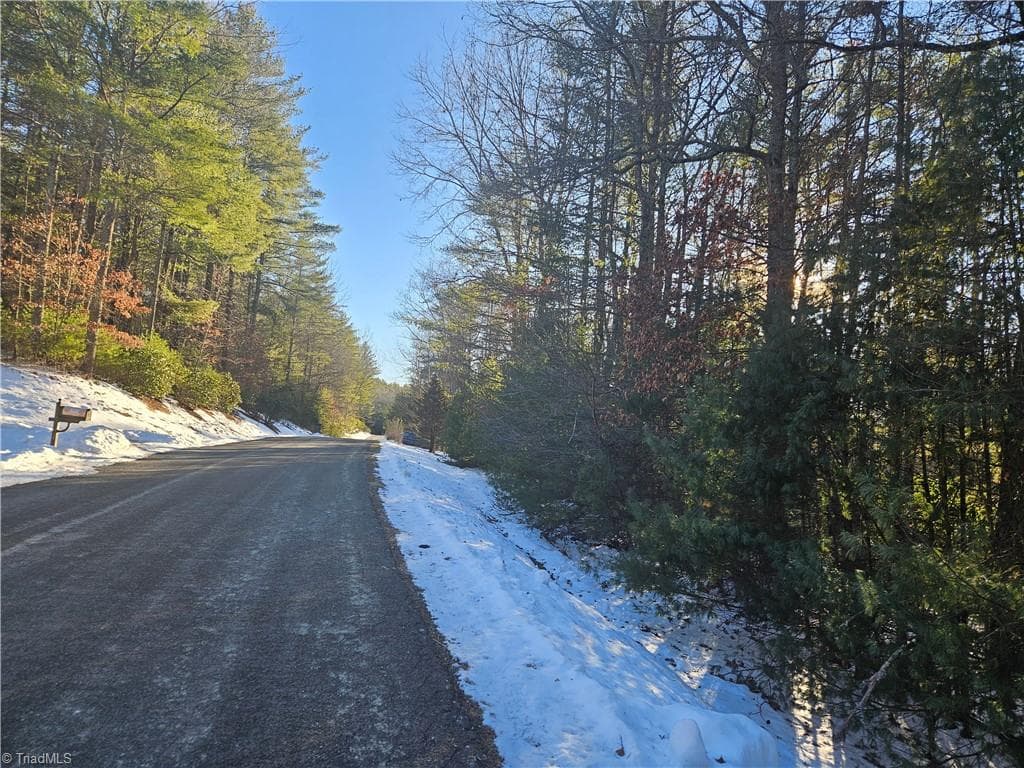 Unimproved Land at TBD Holly Run, Glade Valley NC 28627, photo 12 of 12