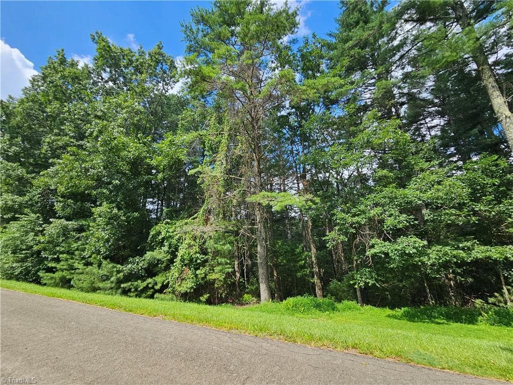 Unimproved Land at TBD Holly Run, Glade Valley NC 28627, photo 7 of 12