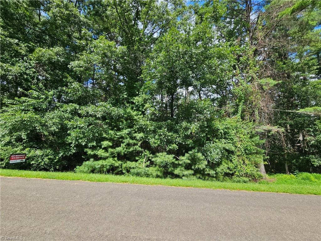 Unimproved Land at TBD Holly Run, Glade Valley NC 28627, photo 3 of 12