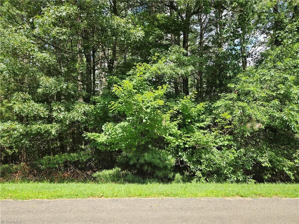 Unimproved Land at TBD Holly Run, Glade Valley NC 28627