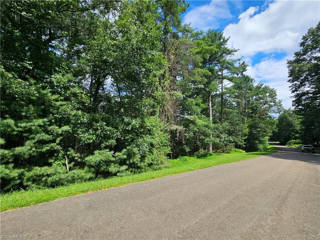 Unimproved Land at TBD Holly Run, Glade Valley NC 28627, photo 5 of 12