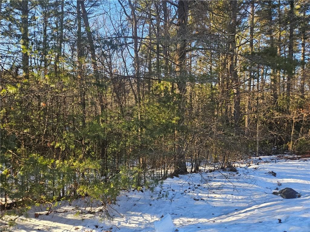Unimproved Land at TBD Holly Run, Glade Valley NC 28627, photo 11 of 12
