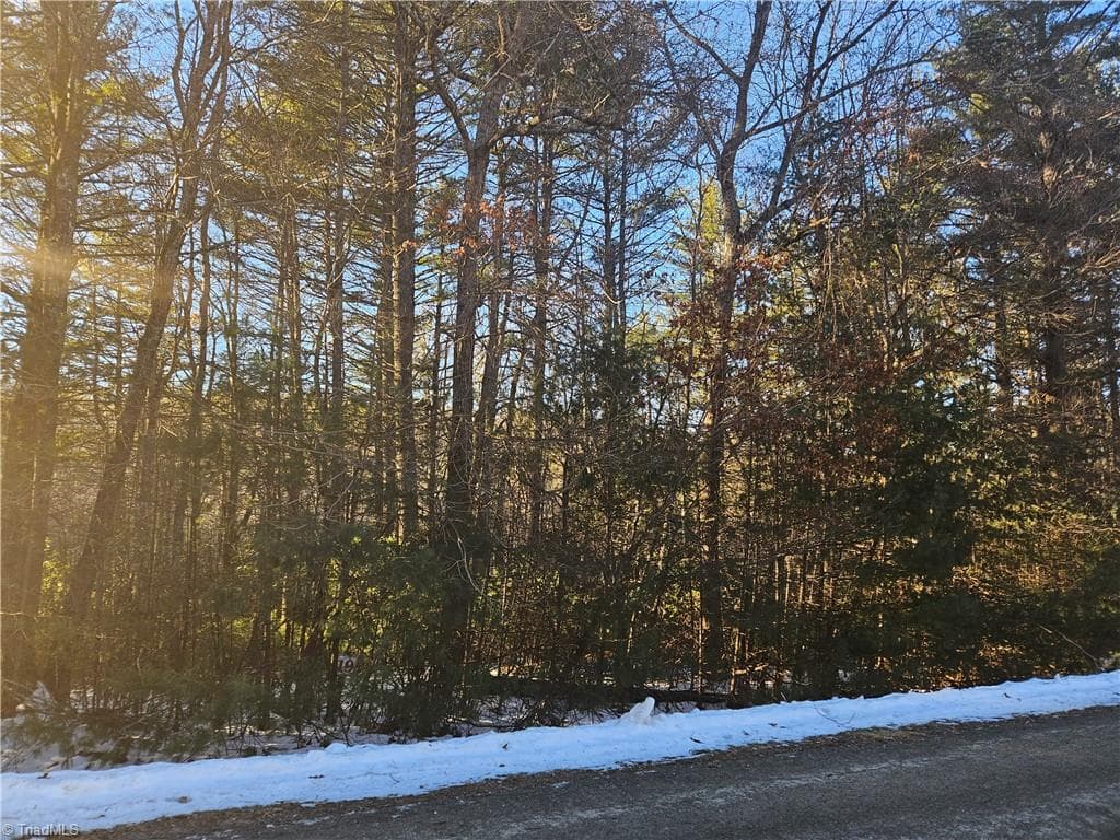Unimproved Land at TBD Holly Run, Glade Valley NC 28627, photo 4 of 12