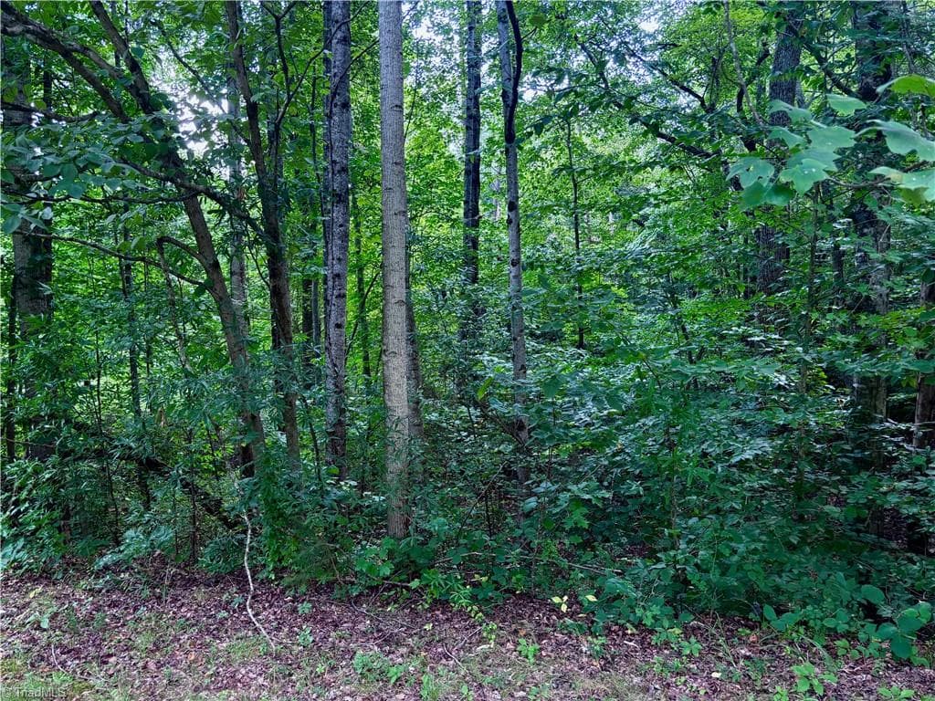 Single Family Residence at 2891 Millwheel Road, Pfafftown NC 27040, photo 3 of 5