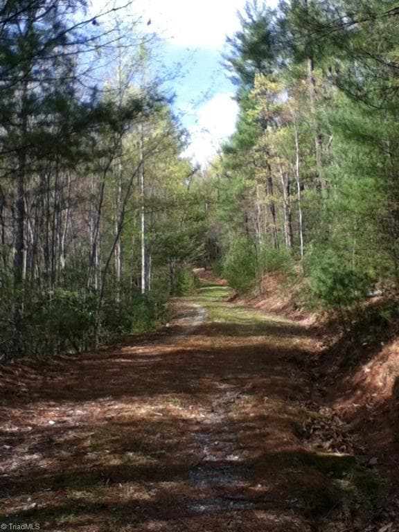 Unimproved Land at 00 clear branch Drive, Millers Creek NC 28651, photo 13 of 13