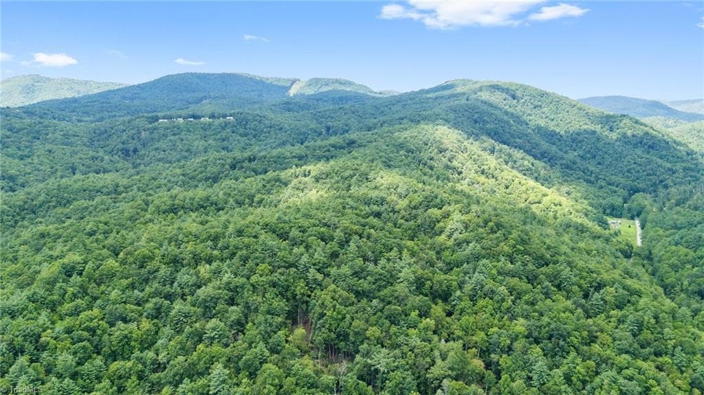 Unimproved Land at 00 clear branch Drive, Millers Creek NC 28651, photo 4 of 13