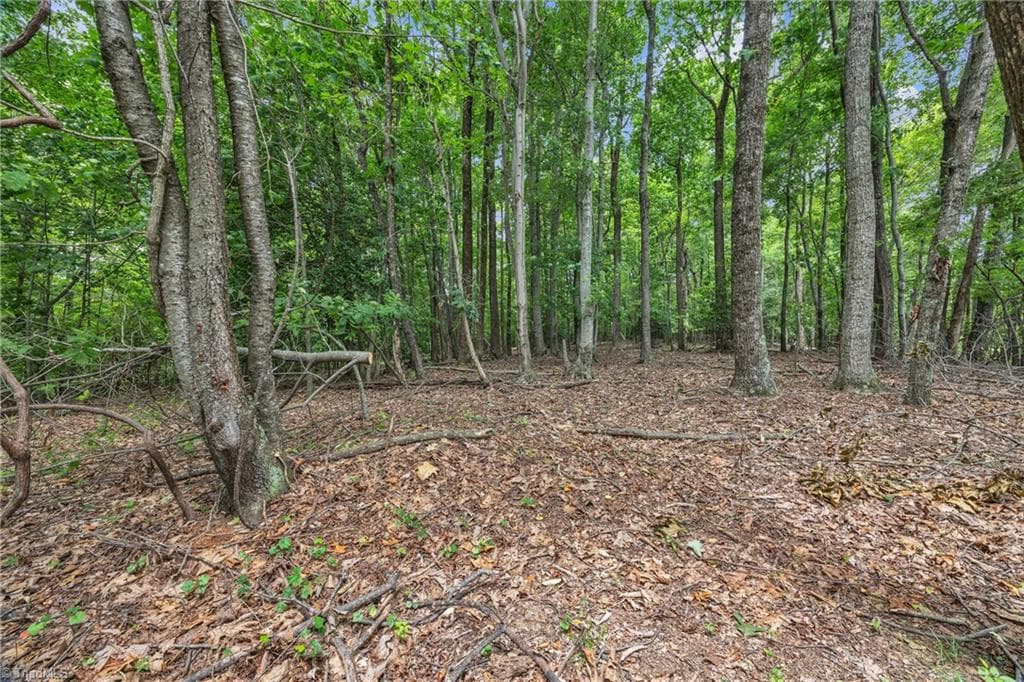 Unimproved Land at 0 Pike Road, Moravian Falls NC 28654, photo 13 of 18