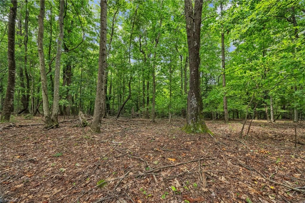 Unimproved Land at 0 Pike Road, Moravian Falls NC 28654, photo 14 of 18