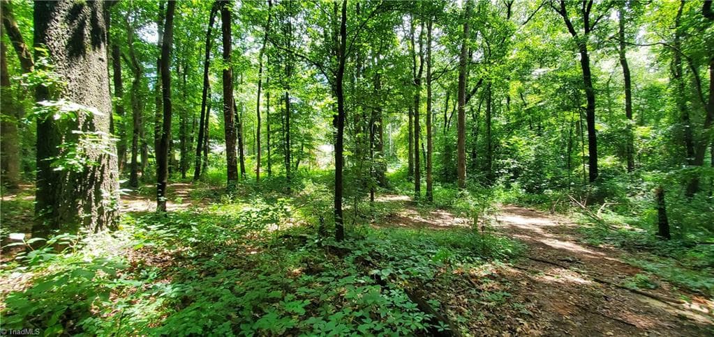 Unimproved Land at 3929 US Highway 64 W, Mocksville NC 27028, photo 2 of 12