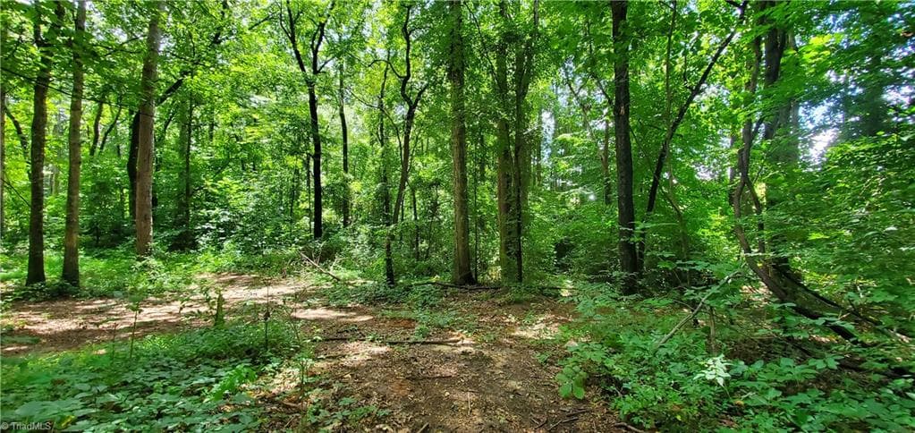 Unimproved Land at 3929 US Highway 64 W, Mocksville NC 27028, photo 3 of 12