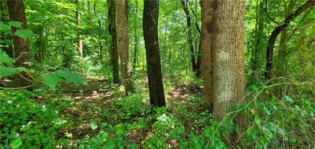 Unimproved Land at 3939 US Highway 64 W, Mocksville NC 27028, photo 2 of 12