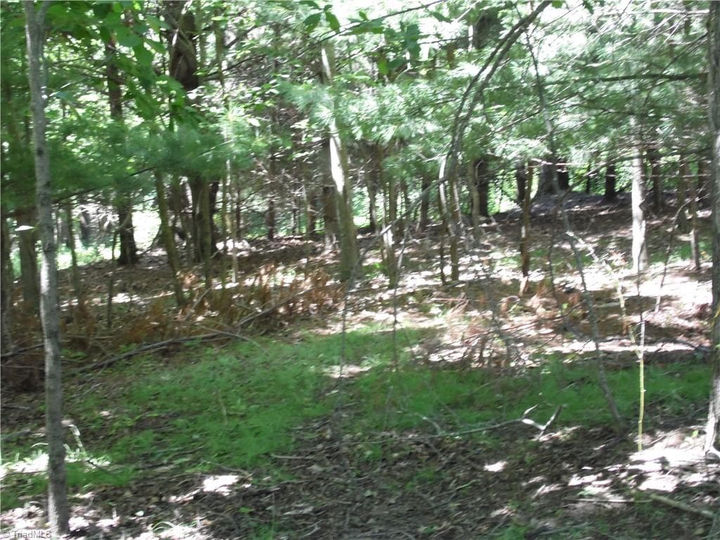 Unimproved Land at TBD Hickory View Drive, Sparta NC 28675, photo 3 of 12