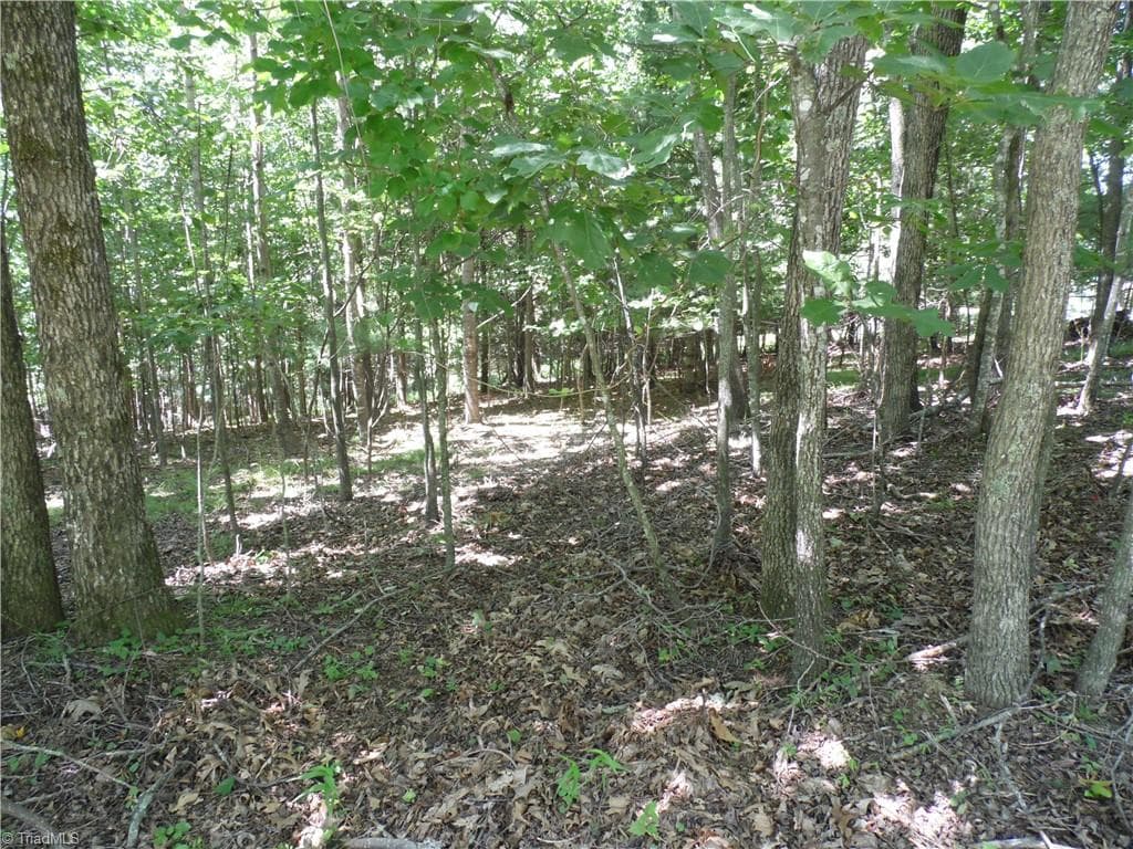 Unimproved Land at TBD Hickory View Drive, Sparta NC 28675, photo 5 of 12