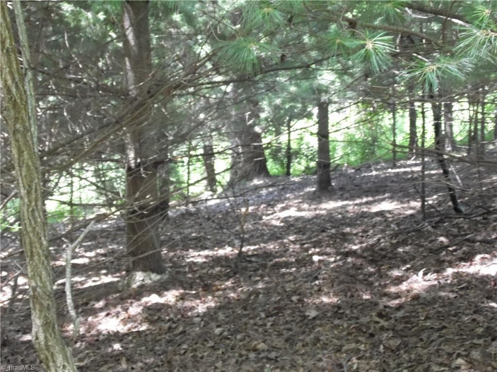 Unimproved Land at TBD Hickory View Drive, Sparta NC 28675, photo 11 of 12