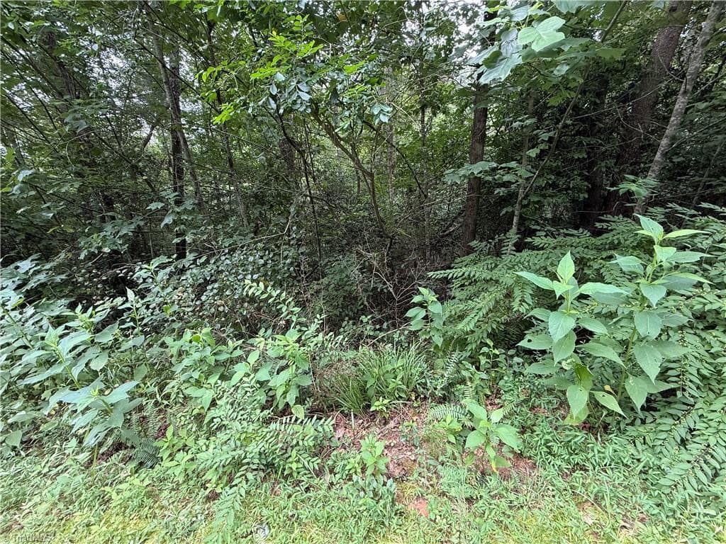 Single Family Residence at Lots 18 Zinzendorf Lane, Moravian Falls NC 28654, Moravian Falls, photo 29 of 32