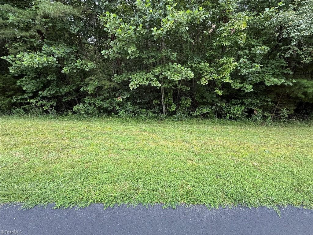 Single Family Residence at Lot 25 Zinzendorf Lane, Moravian Falls NC 28654, Moravian Falls, photo 31 of 32