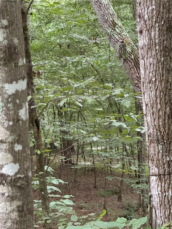 Single Family Residence at Lot 25 Zinzendorf Lane, Moravian Falls NC 28654, Moravian Falls, photo 21 of 32