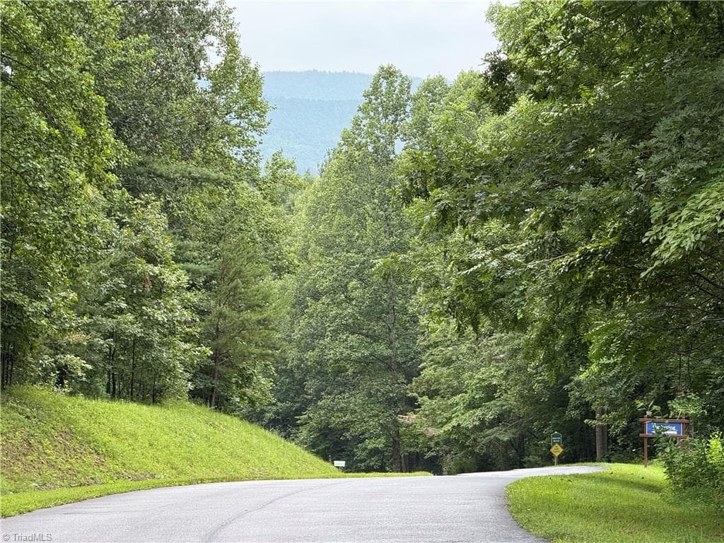 Single Family Residence at Lot 26 Zinzendorf Lane, Moravian Falls NC 28654, Moravian Falls, photo 3 of 34
