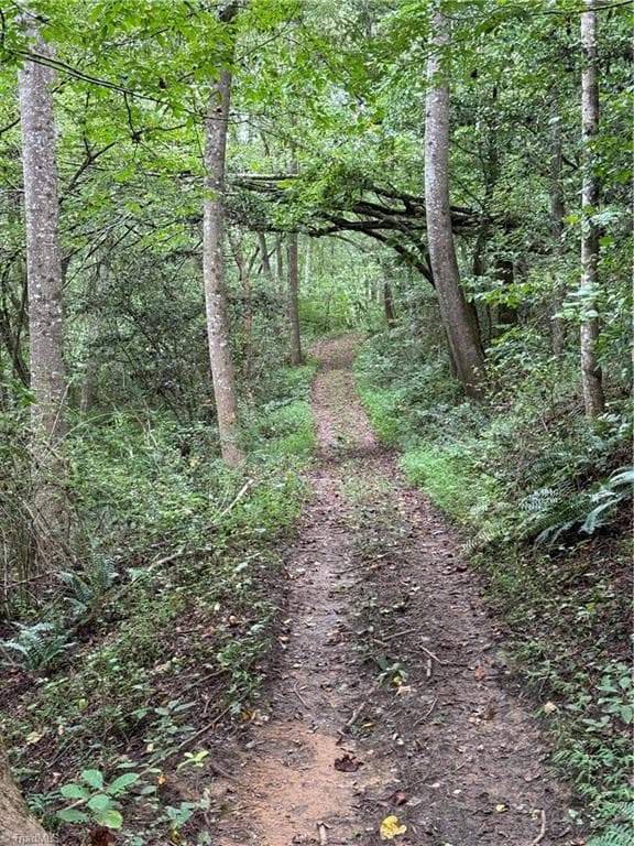 12 Community Trail - Lot 26 Zinzendorf Lane, Moravian Falls NC 28654, Moravian Falls