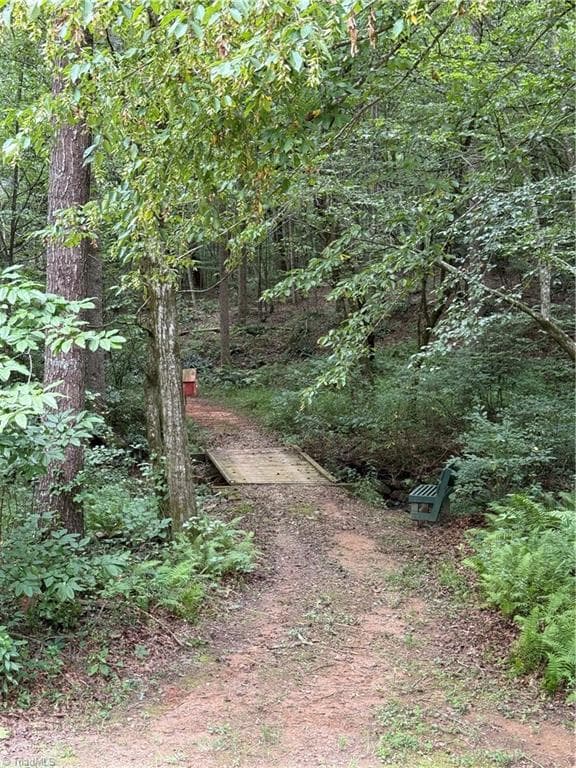 Single Family Residence at Lot 26 Zinzendorf Lane, Moravian Falls NC 28654, Moravian Falls, photo 19 of 34