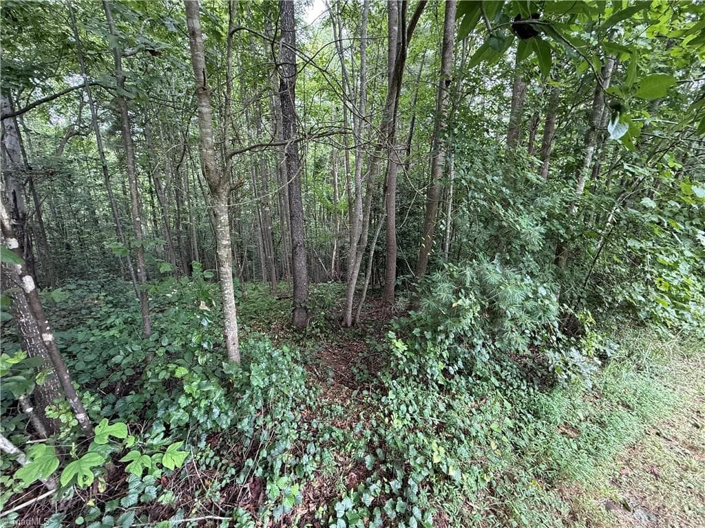 Single Family Residence at Lot 26 Zinzendorf Lane, Moravian Falls NC 28654, Moravian Falls, photo 29 of 34
