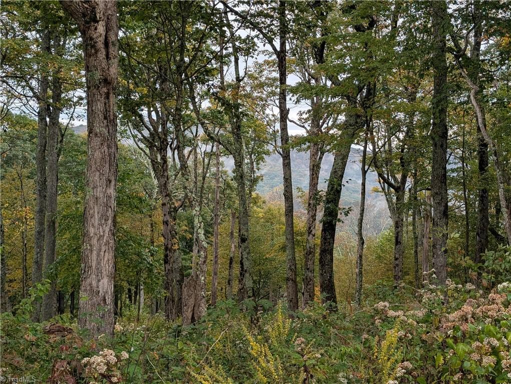 14 Elk Creek Mountain, Todd NC 28684
