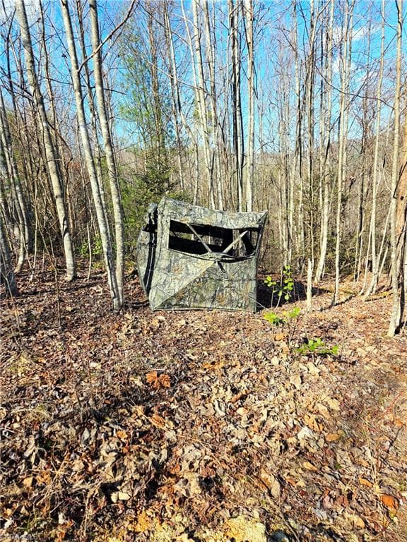 TBD Eagle Hills Road, Purlear NC 28665